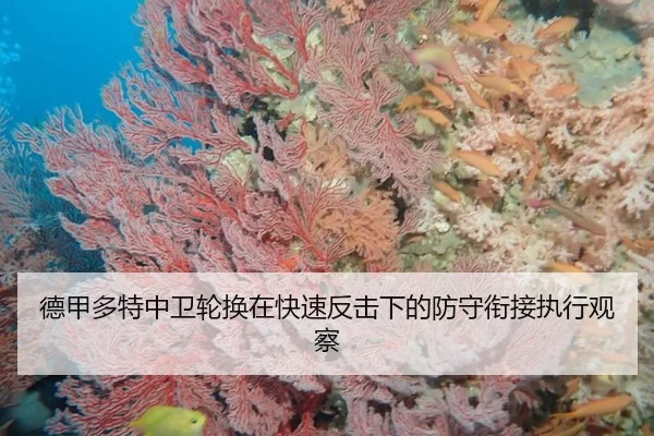 de-jia-duo-te-zhong-wei-lun-huan-zai-kuai-su-fan-ji-xia-de-fang-shou-xian-jie-zhi-xing-guan-cha-3-236.jpg